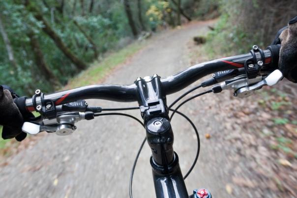 Ideas for an active break in Devon