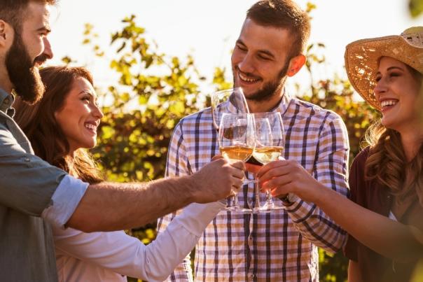 Food Tours, Vineyards & Breweries in Sidmouth