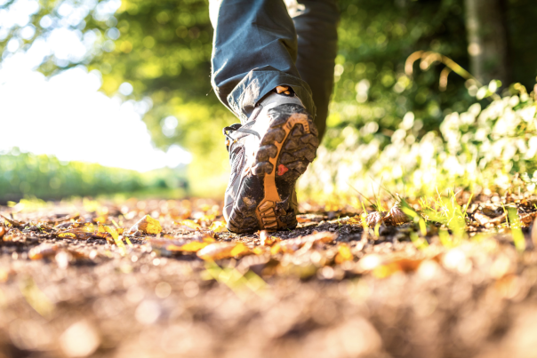 Sidmouth Walking Festival