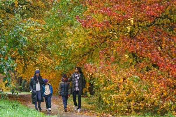 Join in the Wonder of Autumn celebration and Half Term fun at RHS Garden Rosemoor