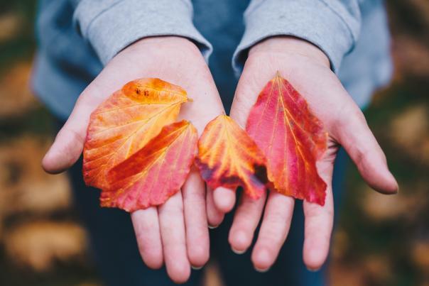 Visit Sidmouth this Autumn