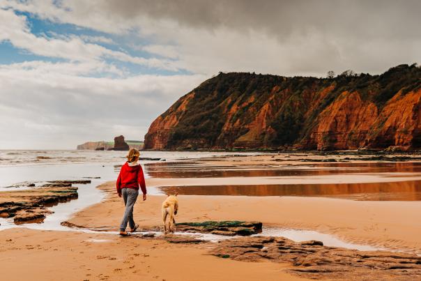 SIDMOUTH ONLY