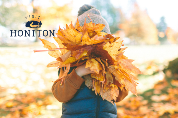child holding autumn leaves