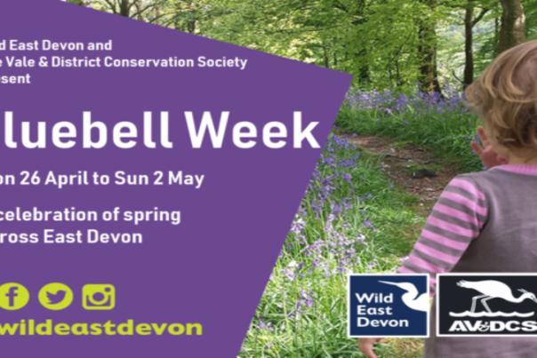 poster for bluebell week