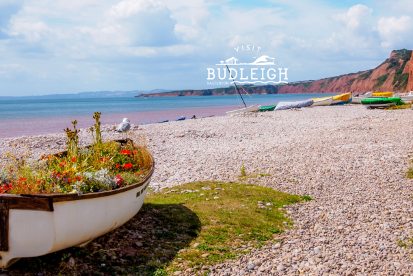 view of budleigh beach with boat used as planter for floral display