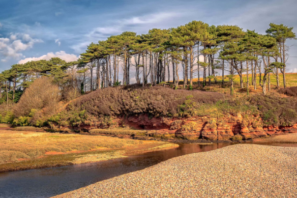 budleigh salterton