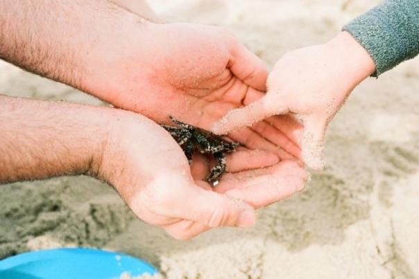 parent and child holding a crab