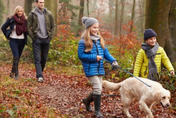 dog walking