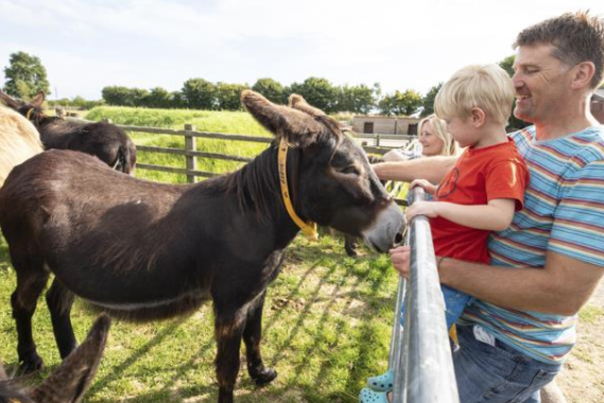 family with donkey