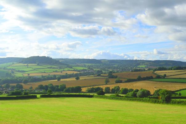 east devon
