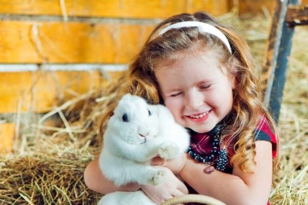 little girl cuddling a white rabbit