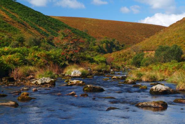 exmoor