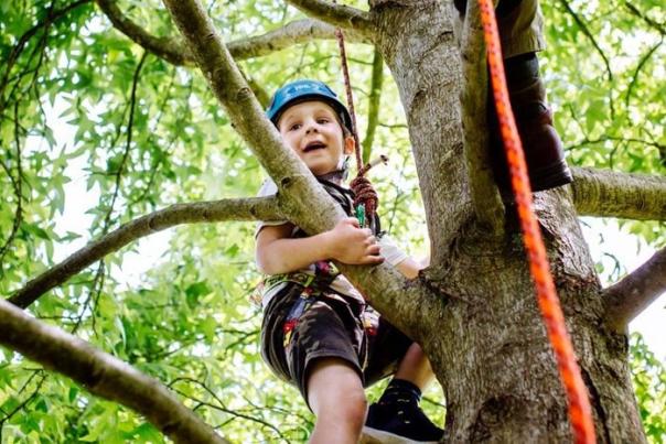 A summer of tree-mendous, hands-on forest fun awaits at RHS Rosemoor these school holidays