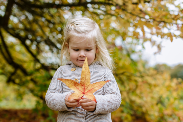 Have a wicked half term at RHS Garden Rosemoor, with Halloween-inspired activities for your little monsters