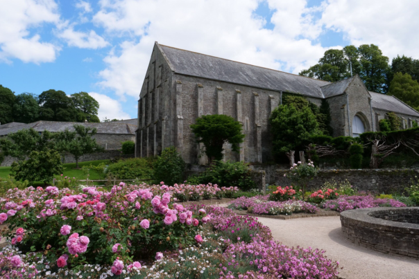 Open the Buckland Book and learn about life in a Tudor monastery this summer