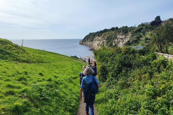 A group of hikers walks down a path through lush greenery toward a serene coastal view with cliffs, under a clear blue sky, evoking a sense of tranquillity.