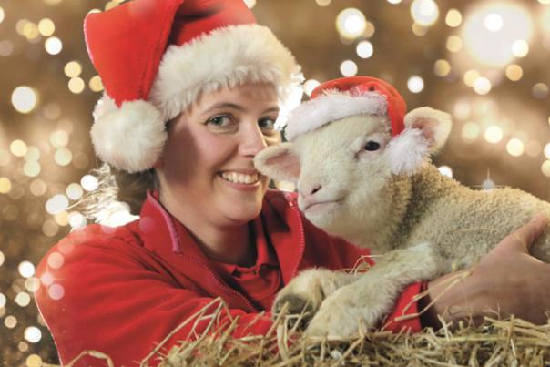 image shows a lady in a Christmas hat with a lamb, also in a Christmas hat