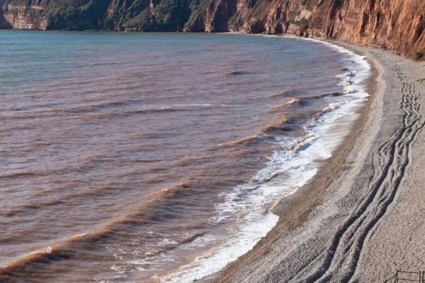 sidmouth beach