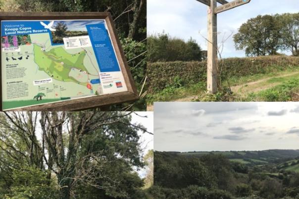 collage from knapp copse