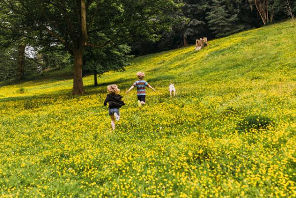 children running through wild flowers