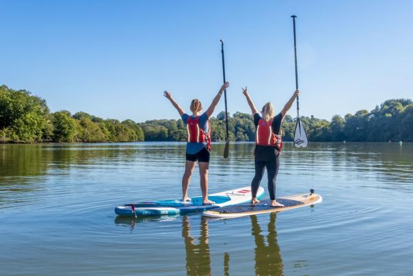 Discover the River Dart at Totnes