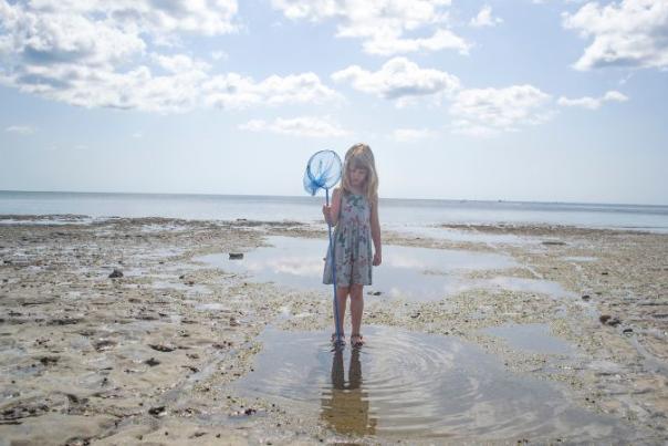 child with a net rockpooling