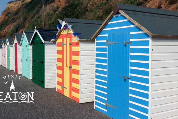 seaton's beach huts