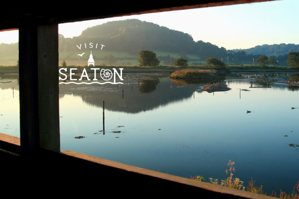 view from seaton wetlands view point