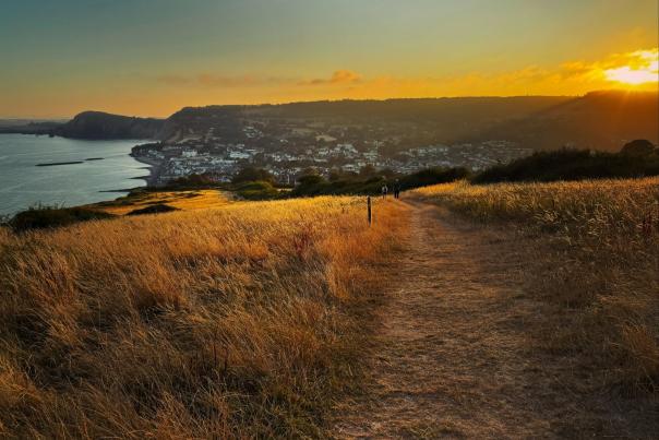 A sunset view over an East Devon coastal town, with a golden grassy path in the foreground where a few people are walking. The coastline curves towards the sea on the left, and white buildings sit nestled below gently rising hills, all glowing in warm orange evening light.