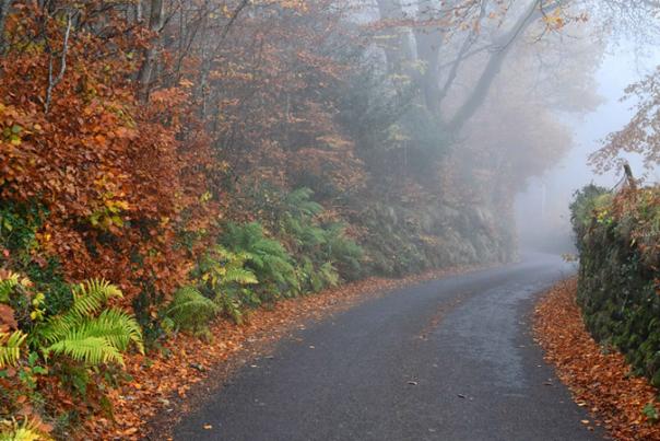 image shows a road through Dartmoor