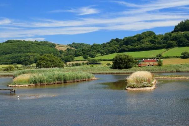 seaton wetlands