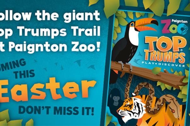 poster for top trumps trail at paignton zoo