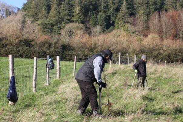tree planting