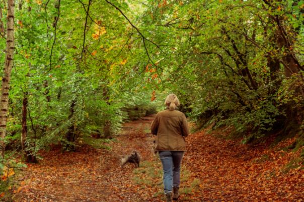 lady walking dog