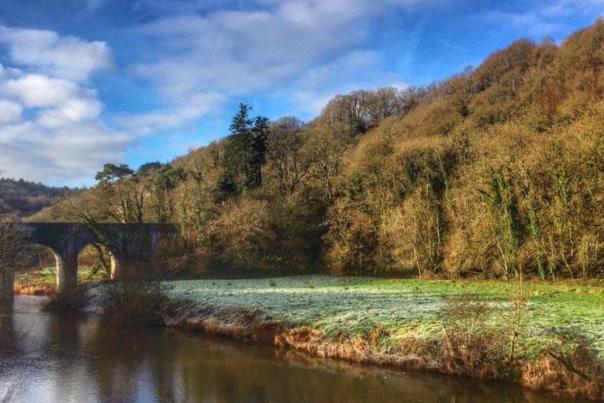 great torrington