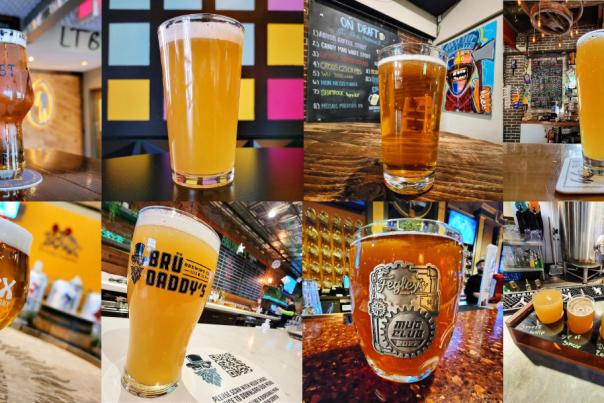 A photo collage of IPAs in Lehigh Valley, PA