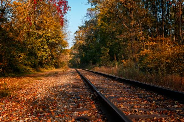 Train Tracks with fall foliage and leaves on the ground in Lehigh Valley