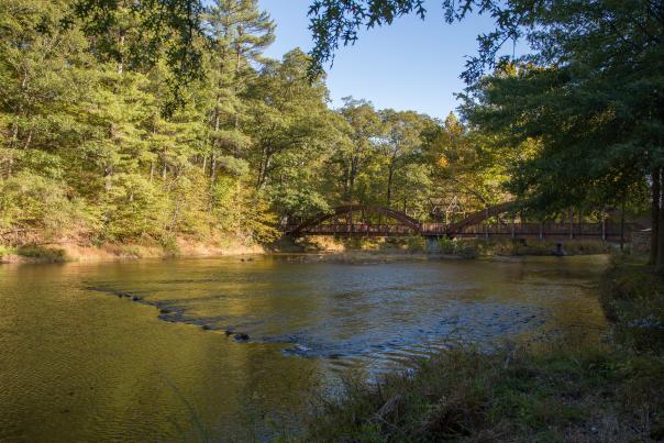 Trexler Nature Preserve