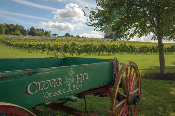 Enjoy local wine at Clover Hill