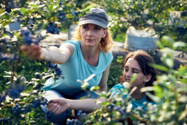 24 Hours in Westover