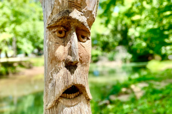 24 hours in Montevallo