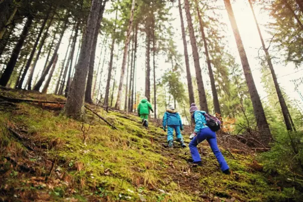 A Winter Weekend In Shelby County_ A Visitors Itinerary