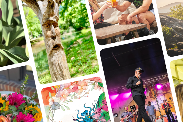 Light Beige Photo Collage Home Decor Blog Banner