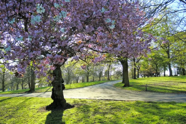 Shelby County Springtime Bucket List