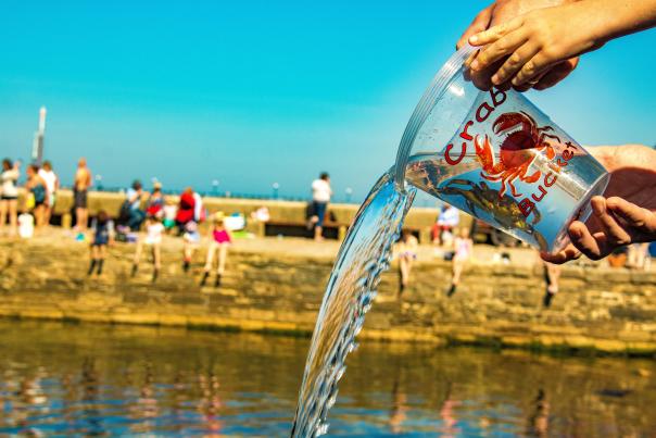 Crab fishing at Swanage's Stone Quay in Dorset