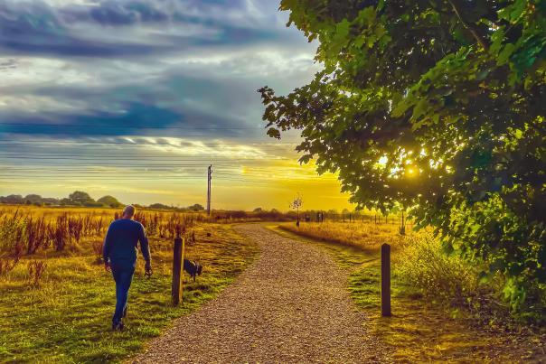 Man walking with his dog at sunset