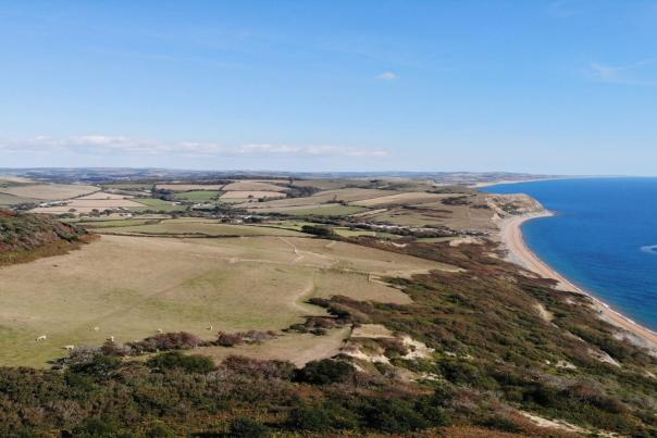 Jurassic Coast