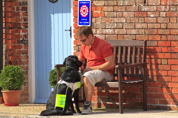 A man and his guide dog staying at a self catering holiday cottage in Dorset