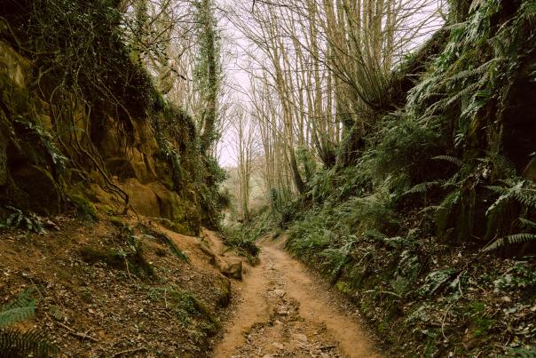 The Holloways, Symondsbury