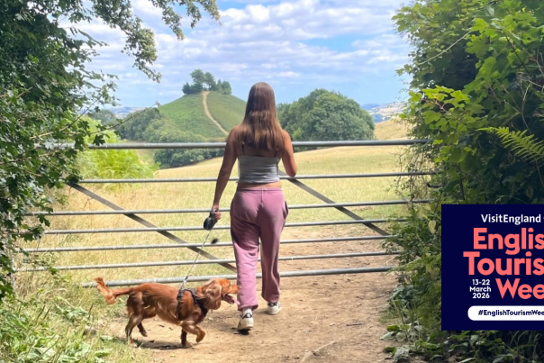 Dog walking at Colmer's Hill